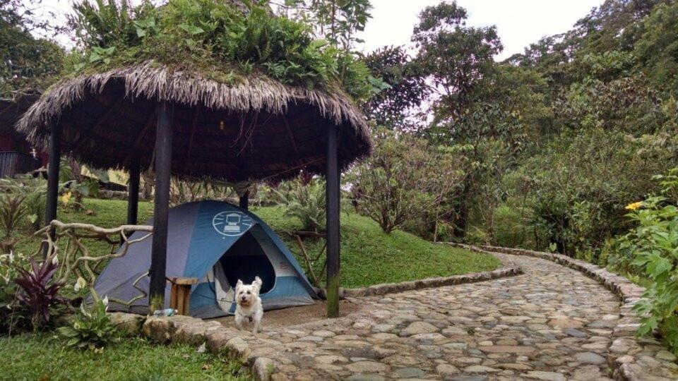 Hotel Finca De La Vaca - Family House à Mera Extérieur photo